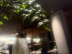 -木守西溪溪隐餐厅