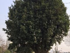 -时间仓(月湖公园店)