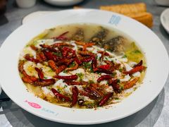 -姚姚酸菜鱼·金戈戈香港豉油鸡(喜荟城联名店)