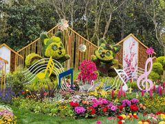 -上海共青森林公园