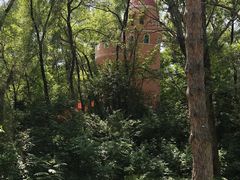 -黑龙江省森林植物园
