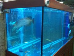 -红山会健身·普拉提(广安门店)