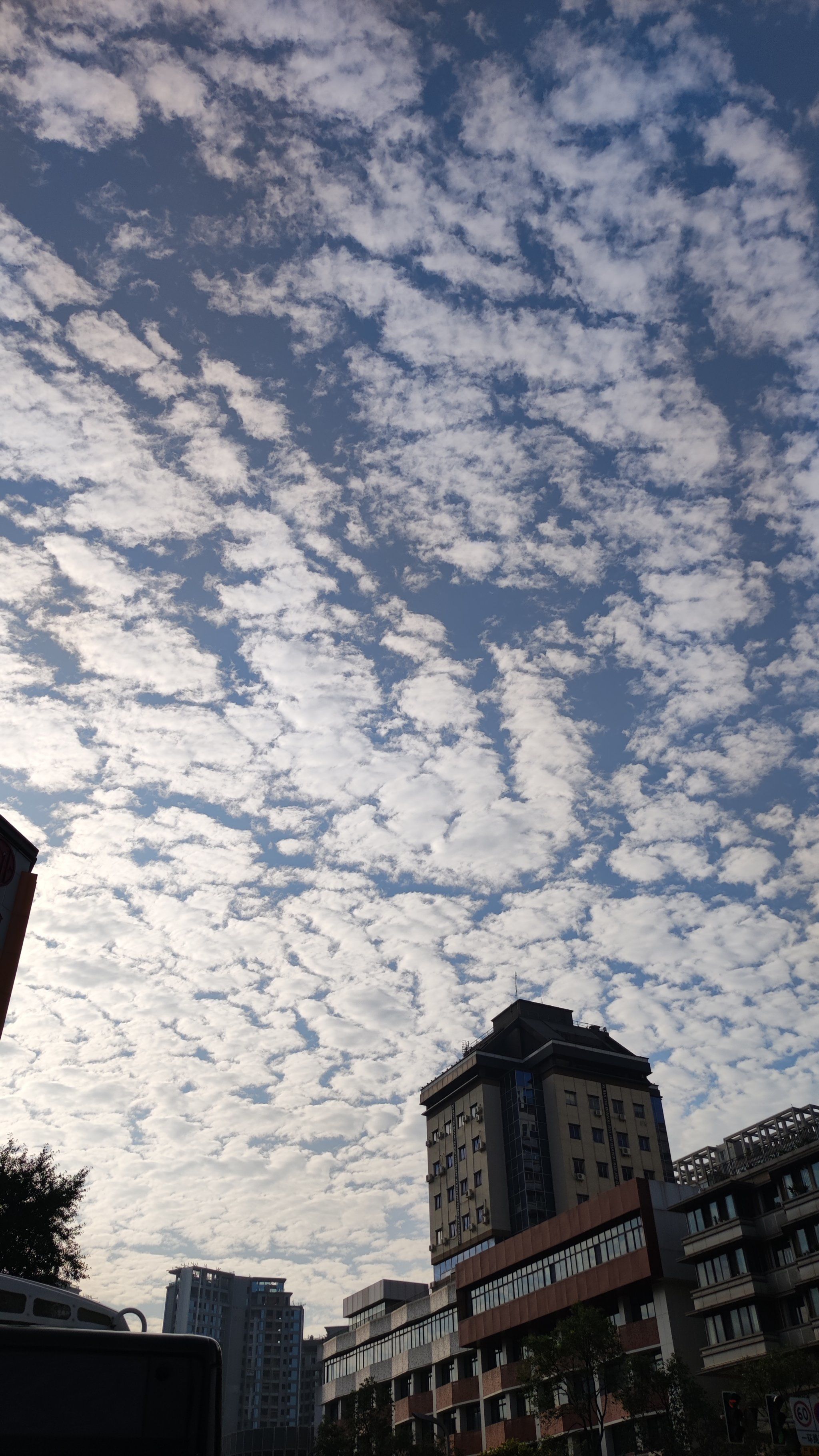 随手拍天空 早晨美景