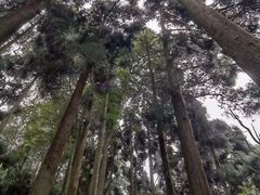 -青城山