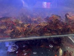 -虾铺子龙虾·私房菜(金源花苑店)