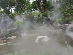 -东莞植物园