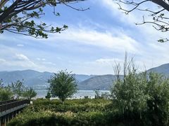 -西昌邛海湿地