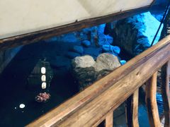 -淀里船宴(卓达店)