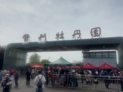 -曹州牡丹园