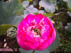 -龙环葡韵住宅式博物馆