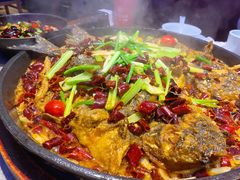 -老板恋上鱼(恒隆广场店)