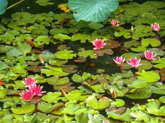 -国家植物园南园