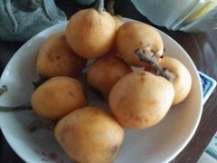 -晓港公园