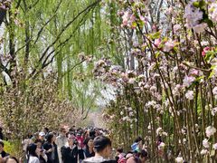 -元大都城垣遗址公园