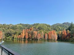 -广州市白云山风景名胜区