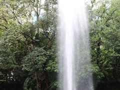 -九龙公园