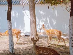 景点-观唐（国际）度假村温泉