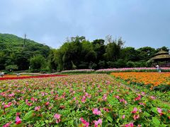 -广州市石门国家森林公园
