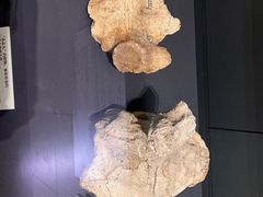 -北京周口店北京人遗址博物馆