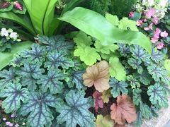 -人民公园(罗湖区)