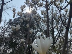 -大连植物园