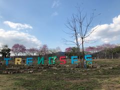 -天适樱花悠乐园