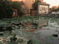 -烟桥私房菜馆(奋哥)