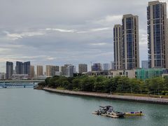 -五缘湾湿地公园