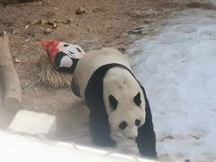-沈阳森林动物园