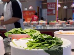 -龍歌自助小火锅(李沧顺和汇店)
