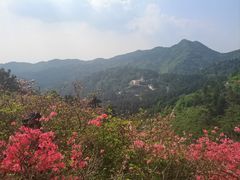 -木兰云雾山