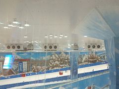 -长沙湘江冰雪世界