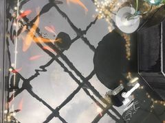 -瓯菜排档·温州海鲜(玕南店)