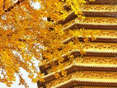 -玲珑塔公园
