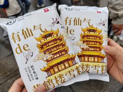 -黄鹤楼公园(黄鹤楼)