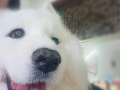 -美联众合爱康动物医院•复杂内科•肿瘤科•牙科•腔镜诊疗中心
