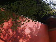 -大觉寺-停车场