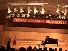 -南京艺术学院音乐厅