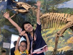 -自贡恐龙博物馆