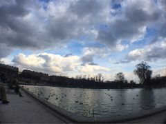 iphone_upload_pic-杜乐丽花园
