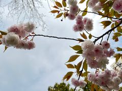 -黄兴公园