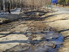 -白水寺森林公园