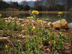 -杭州六谷生态休闲农庄有限公司