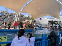 -芜湖新华联大白鲸海洋公园