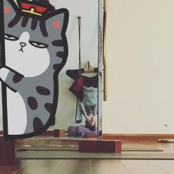 -广州萨谛艾扬格瑜伽中心