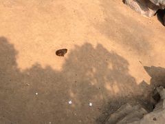 -无锡动物园·太湖欢乐园