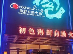 -初色海鲜自助(万丰路店)