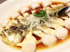 -阿毛饭店首店·宁波老字号(文化广场店)