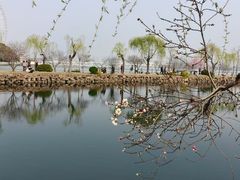 -无锡蠡湖国家湿地公园-蠡园