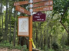 -西湖风景区十里琅珰-五云山